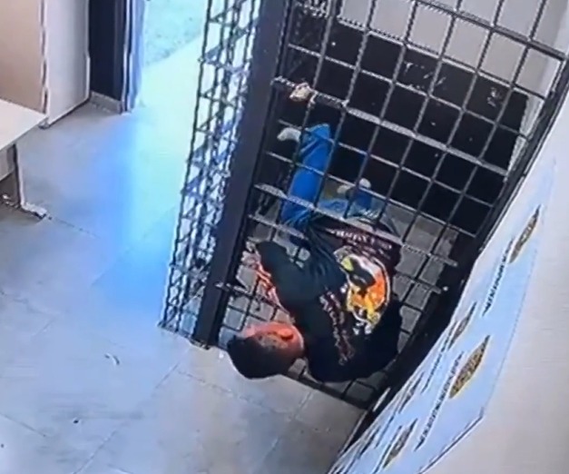 VÍDEO: Câmeras registram preso escapando entre as barras da cela e deixando delegacia