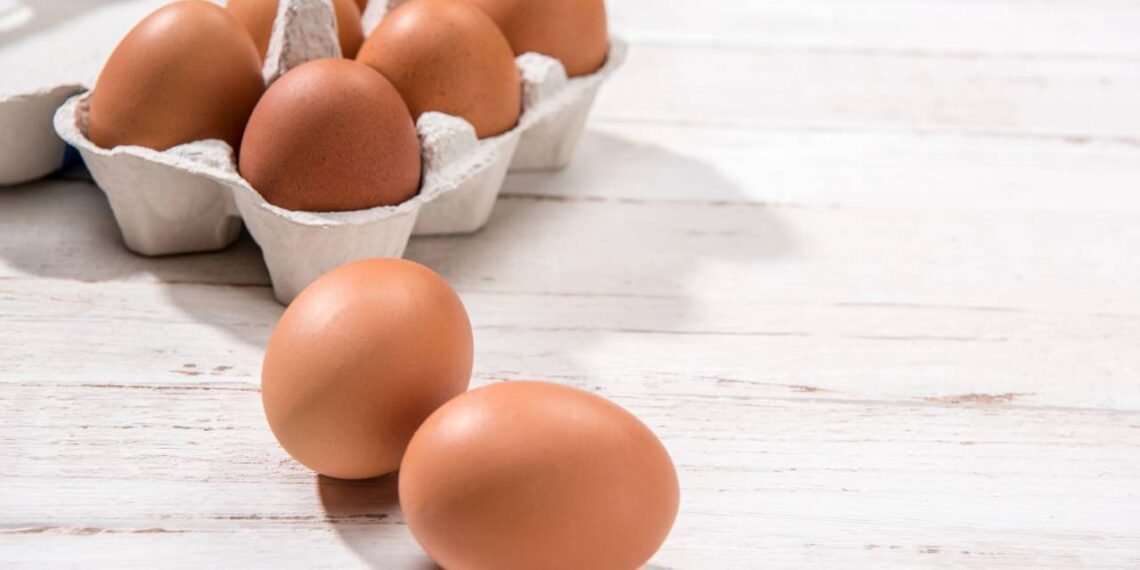 Comer ovos todos os dias pode fazer mal?  Especialista responde