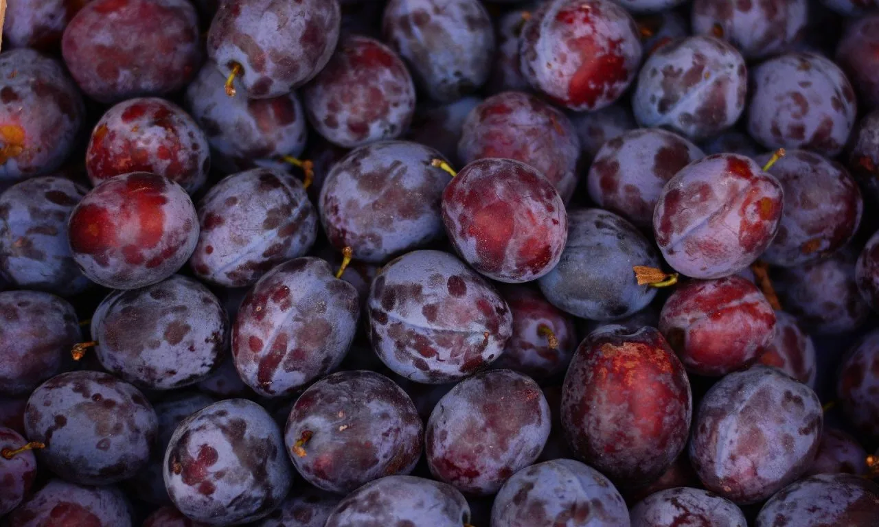 Rica em vitaminas, esta fruta melhora a digestão, protege a visão e ajuda nos cuidados com a pele