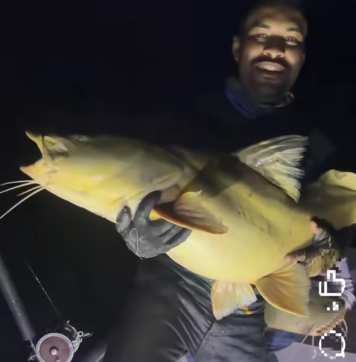 VIDEO - Pescador fisga Jaú de 40 kg, pousa para fotos e devolve peixe ao rio