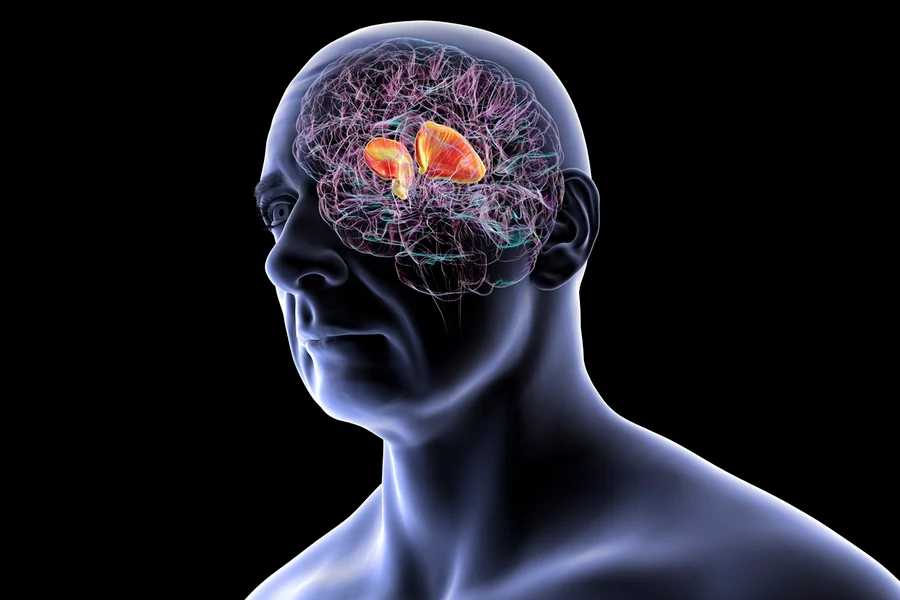 Neurocirurgião aponta as bebidas alc0ólicas que mais afetam o cérebro