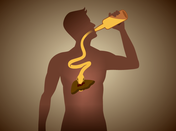 Estudo mostra os efeitos da cerveja no fígado e na saúde cardiovascular